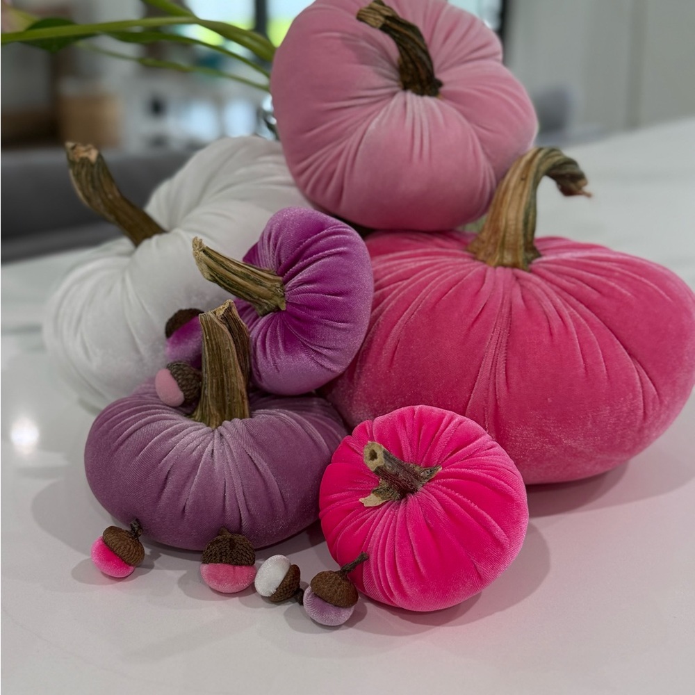 Velvet Pumpkin set of 6 with 6 matching acorns